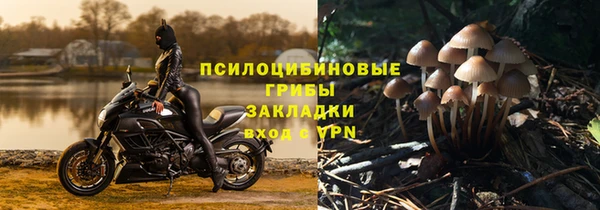 эйфоретик Ладушкин